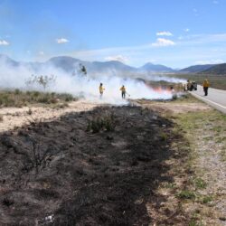 Inicia Protección Civil de Arteaga quema controlada de líneas negras en carreteras11