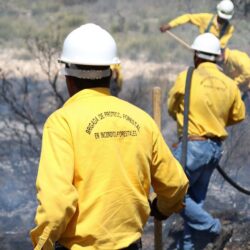 Inicia Protección Civil de Arteaga quema controlada de líneas negras en carreteras15