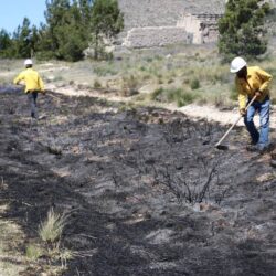 Inicia Protección Civil de Arteaga quema controlada de líneas negras en carreteras16