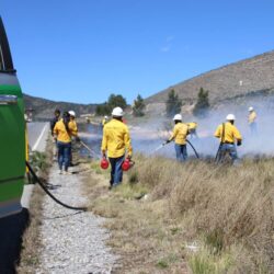 Inicia Protección Civil de Arteaga quema controlada de líneas negras en carreteras17