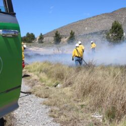 Inicia Protección Civil de Arteaga quema controlada de líneas negras en carreteras18