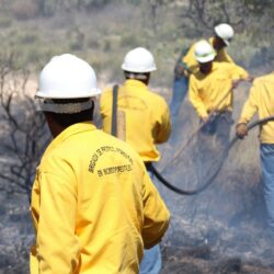 Inicia Protección Civil de Arteaga quema controlada de líneas negras en carreteras19