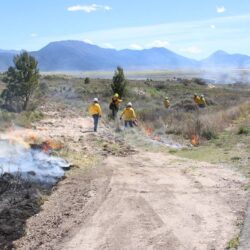 Inicia Protección Civil de Arteaga quema controlada de líneas negras en carreteras4