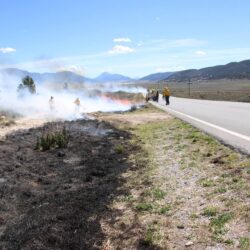 Inicia Protección Civil de Arteaga quema controlada de líneas negras en carreteras8