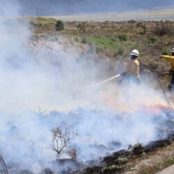 Inicia Protección Civil de Arteaga quema controlada de líneas negras en carreteras9