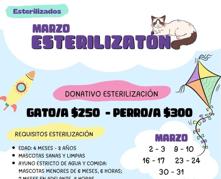 Invitan a familias de Saltillo a esterilizar y vacunar a sus mascotas