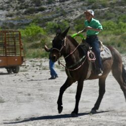 Más de 250 jinetes 10