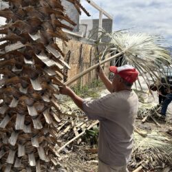 Trabajan en mantenimiento de áreas verdes en colonia Analco 