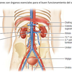 detectar 2