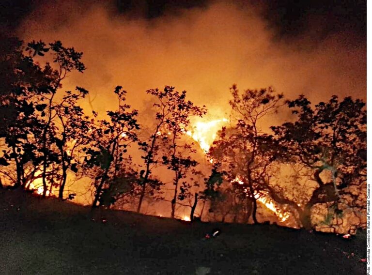 Escalan incendios forestales en México