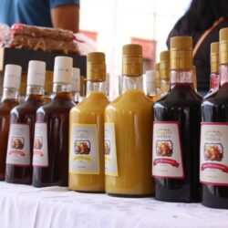¡Éxito Culinario! Inauguran Séptimo Festival de las Siete Cazuelas en Arteaga9