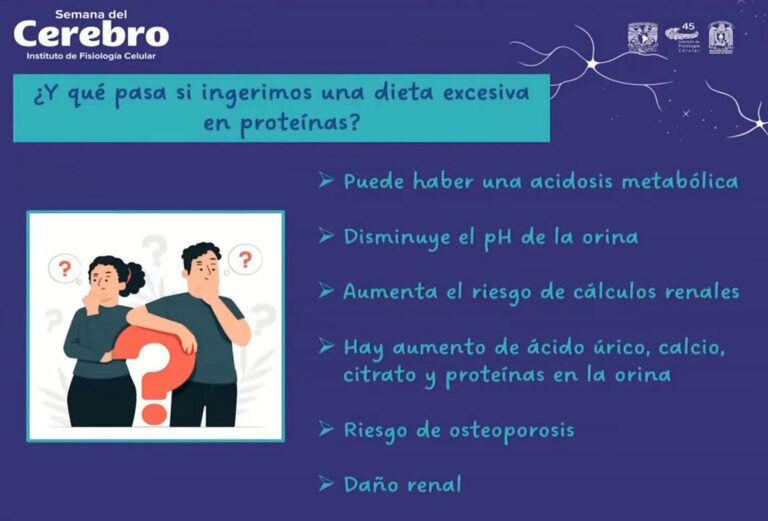 Ganar masa muscular por consumo excesivo de proteínas podría dañar la salud