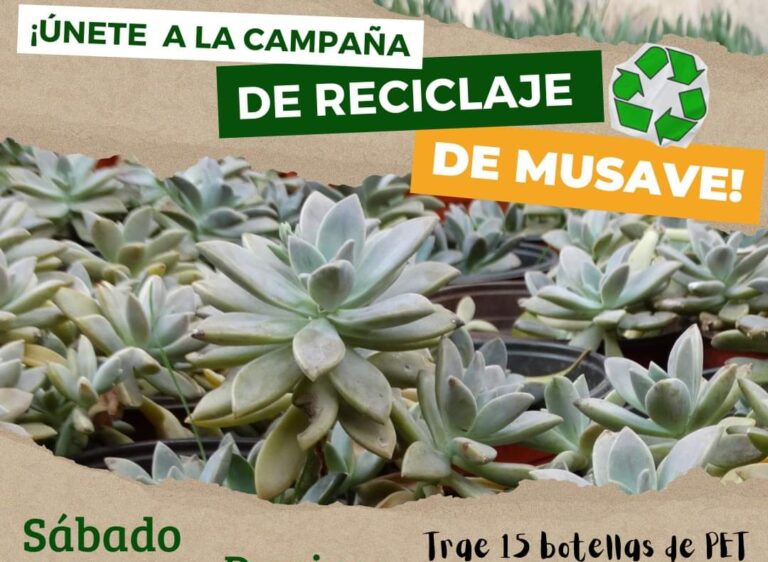 Habrá este sábado y domingo campaña de reciclaje en el MUSAVE