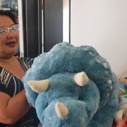 La Puntada invita a colecta de peluches para llevar alegría a niños de Coahuila en situación vulnerable2