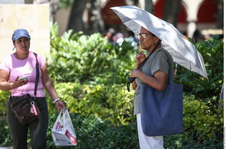 Ola de calor en México impacta salud, economía y agricultura, dicen expertas