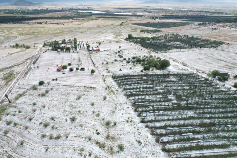 Pinta granizada de blanco al Cañón de San Antonio de las Alazanas… pero daña a manzanos