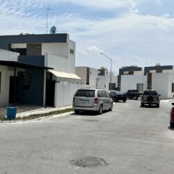 Vecinos en la colonia La Estación reportan presencia de chinches y garrapatas2