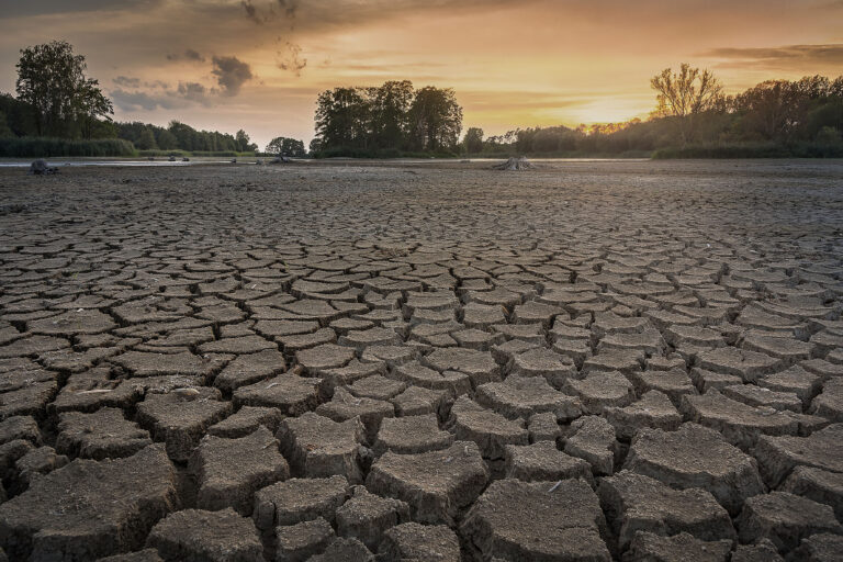 Cambio climático y sequía, desafíos para la sobrevivencia de la humanidad