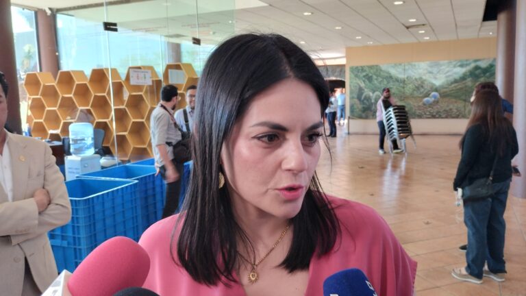 Trabaja Congreso de Coahuila en más acciones de protección a la infancia: Luz Elena González