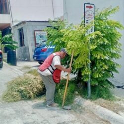 Con más de 150 acciones preventivas de poda de árboles intervienen en zona urbana de Ramos Arizpe 1