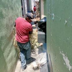 Con más de 150 acciones preventivas de poda de árboles intervienen en zona urbana de Ramos Arizpe 2