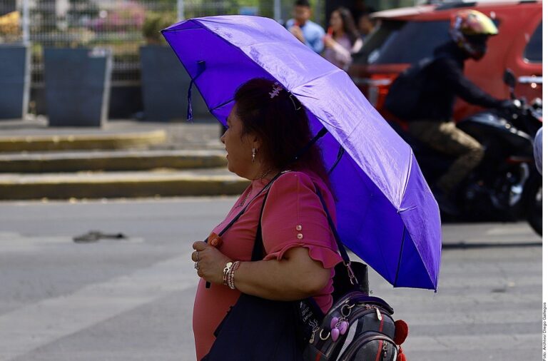 Segunda ola de calor dejo 19 muertes  