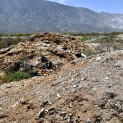 Denuncian contaminación de empresa Bachoco en Ramos Arizpe; Ayuntamiento canaliza reporte a la SEMA 4