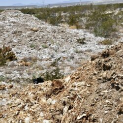 Denuncian contaminación de empresa Bachoco en Ramos Arizpe; Ayuntamiento canaliza reporte a la SEMA 8