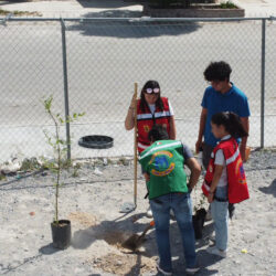 Equipo Azul de Lobos en Acción Lidera Reforestación _2