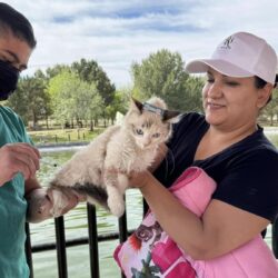 Invitan a las familias de Saltillo a priorizar en la salud de sus mascotas 4