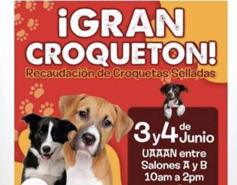 Realizará Perrunos UAAAN Gran Croquetón para alimentar a canes que habitan en el campus