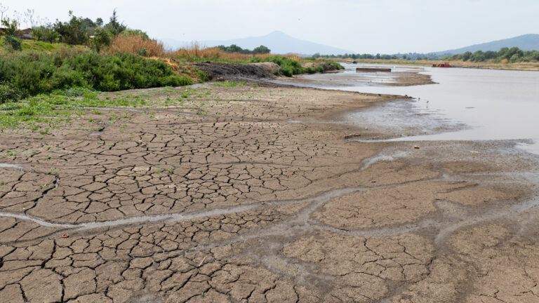 América Latina sufre fenómenos extremos a causa de El Niño y el cambio climático