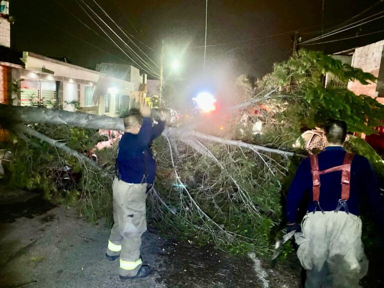 Atiende Gobierno de Saltillo reportes durante la madrugada de este miércoles por vientos y lluvias