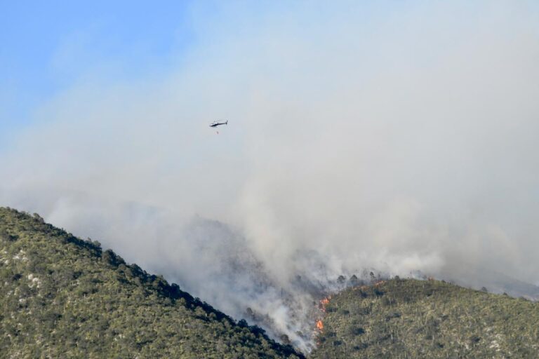 Reportan 50% de control en incendio de Jagüey de Ferniza en Saltillo