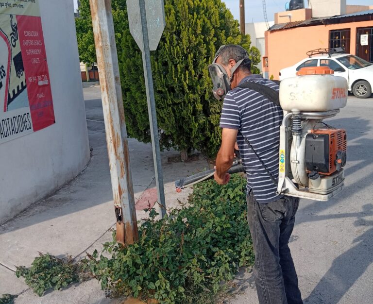 Fumigación intensiva contra chinches en Ramos Arizpe