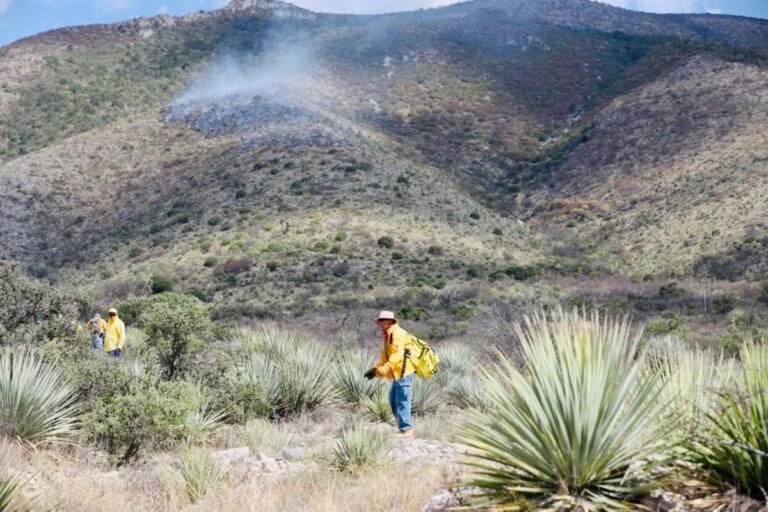 Retrasa proveedor equipamiento tecnológico para detección de incendios forestales en Coahuila