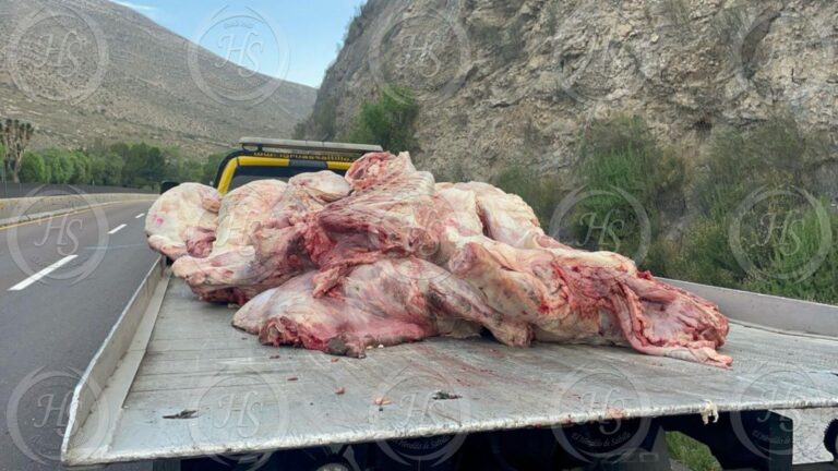 Vuelca en Los Chorros y riega la carne en la carretera