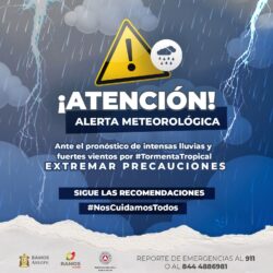 ALERTA 2