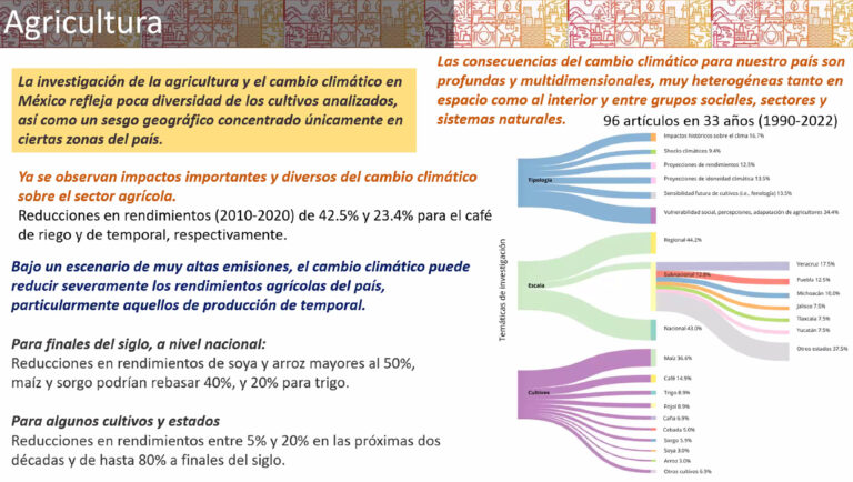 Calentamiento global impacta agricultura de temporal