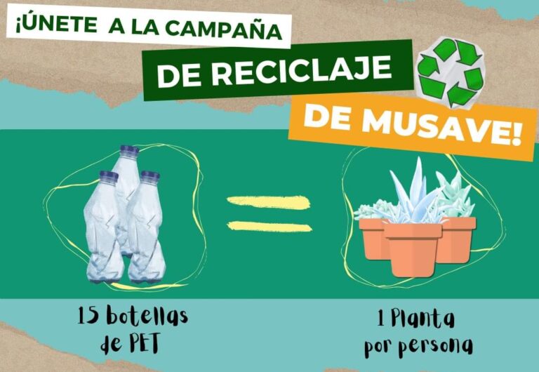 Habrá este sábado y domingo campaña de reciclaje en el MUSAVE