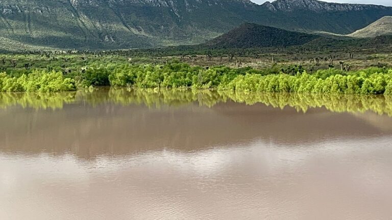 Máxima capacidad de presa Palo Blanco en Ramos Arizpe traerá alentadora recarga de mantos acuíferos: Desarrollo Rural