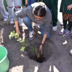 UTC celebra Día Mundial del Medio Ambiente con reforestación en escuela primaria 6