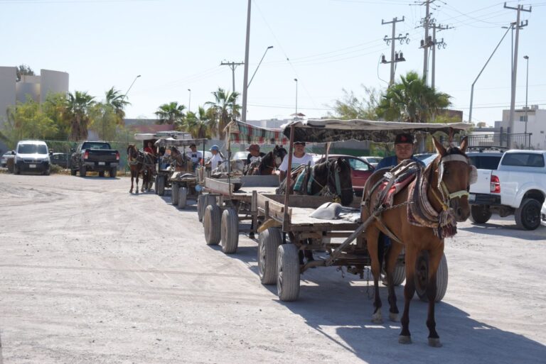 En marcha programa de empadronamiento para unidades de carromatos en Torreón