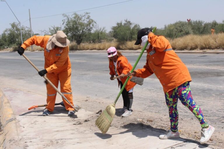 La Ola lleva a cabo acciones de limpieza en la carretera Torreón – Matamoros