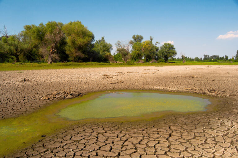 Superar la sequía requiere de varios años de lluvias intensas