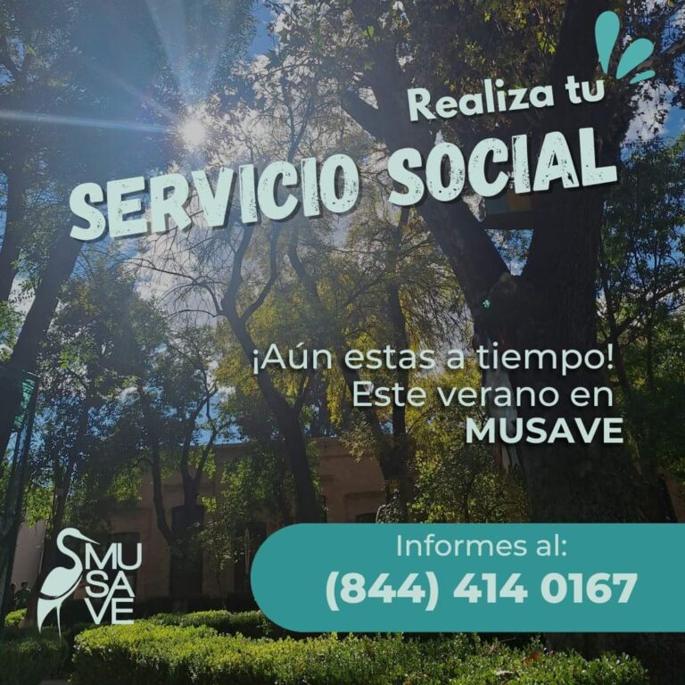 ¿Buscas dónde hacer tu servicio social? En el MUSAVE hay lugar para ti