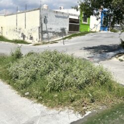 Mega bache se convierte en área verde en la colonia Parajes del Valle; autoridades atenderán petición de vecinos 