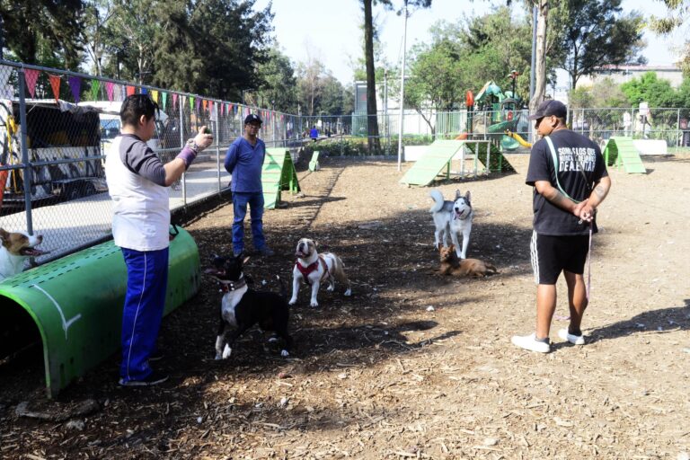 Mejor adoptar que comprar un perro