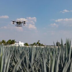 MEXICO-MICHOACAN-DRONES-AGROTECNOLOGIA