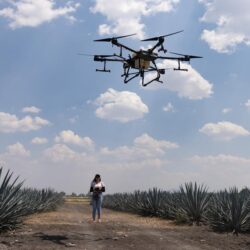 MEXICO-MICHOACAN-DRONES-AGROTECNOLOGIA